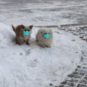 大燃子卓的头像